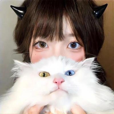 客人是王